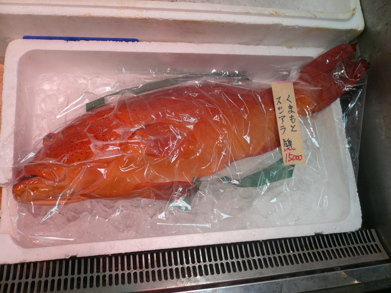 高級魚 スジアラ 黒門三平