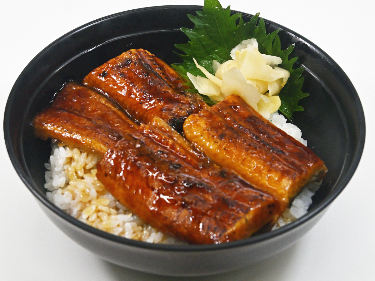 うなぎ蒲焼丼